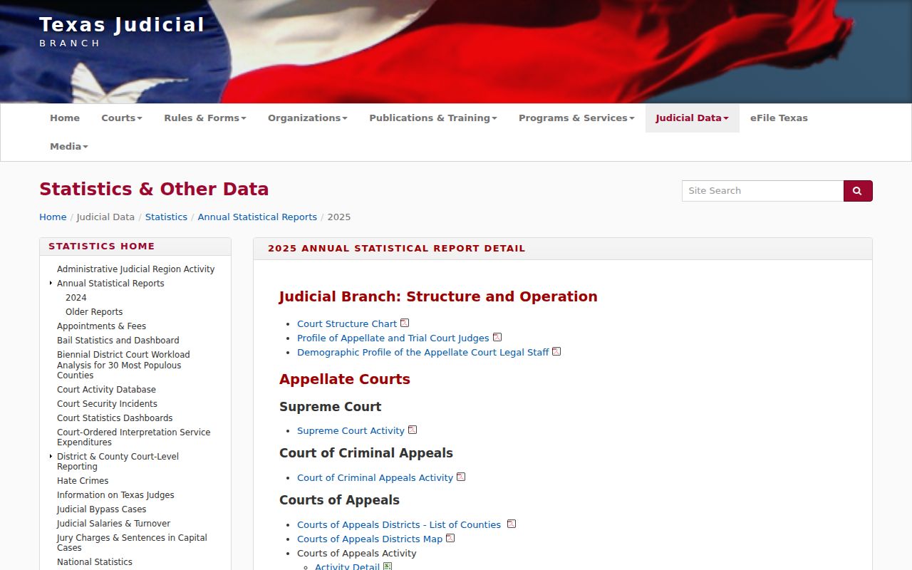 Upton County municipal and arrest warrant court activity context